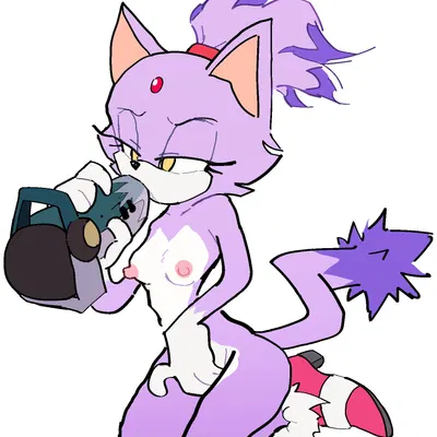 blaze the cat (sega, sonic the hedgehog (series)) created by takofren