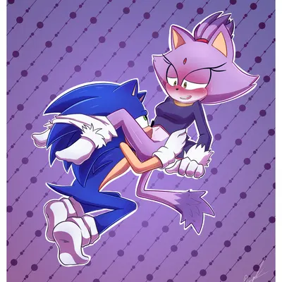 blaze the cat, sonic the hedgehog (sega, sonic the hedgehog (series)) created by miguel layme