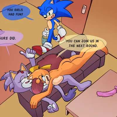 blaze the cat, sonic the hedgehog, tiara boobowski (sega, sonic the hedgehog (series)) created by xao art