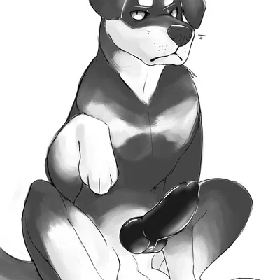 boris (miau) created by miau