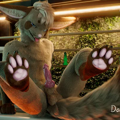 c4d created by daytia