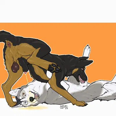 cloud the husky, harper (harpershep) created by sketchy shelby