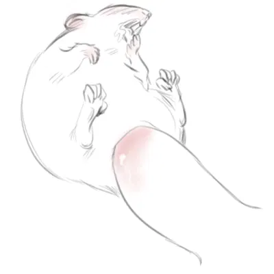 created by 4chan anon