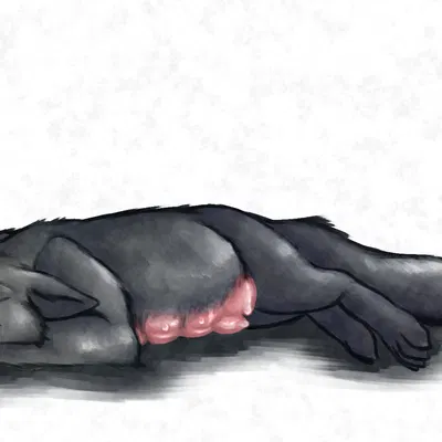 created by bredtolove (artist)