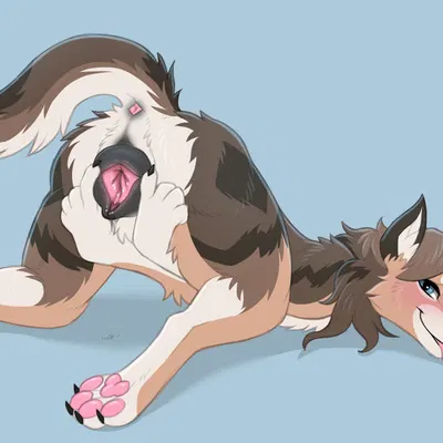 created by digitoxici