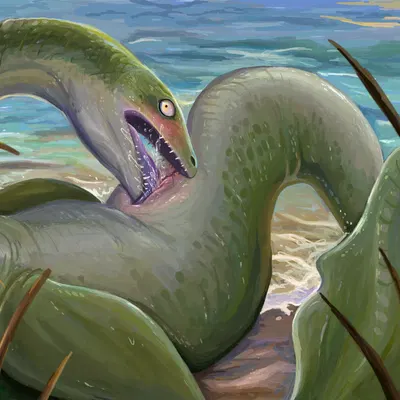 created by downsstream (artist)