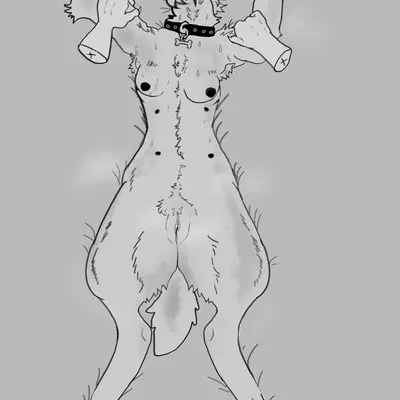 created by faunbrosia