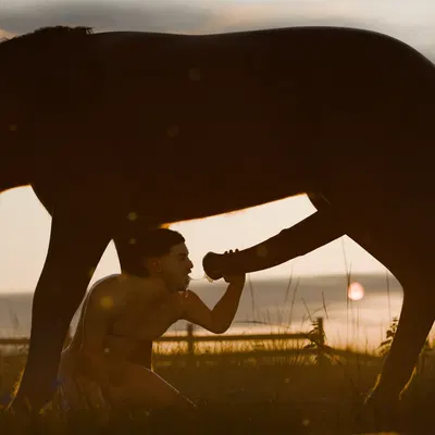 created by forbiddenkingdom