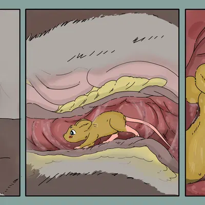 created by foxyoreos