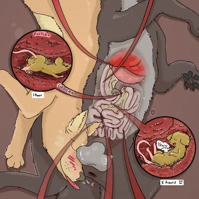 created by foxyoreos