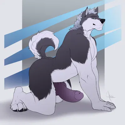 created by fullbodywolf