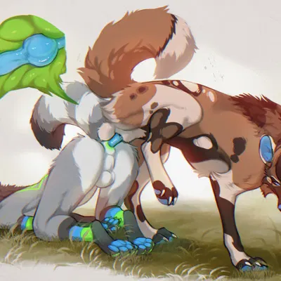 created by joonkorner