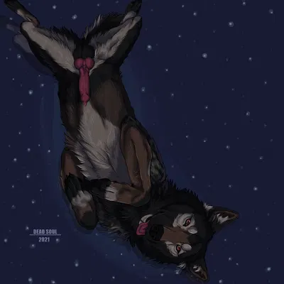 created by msdeadsoul