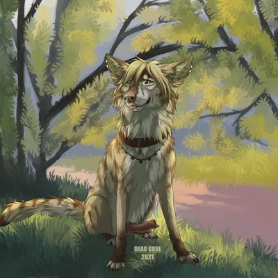 created by msdeadsoul