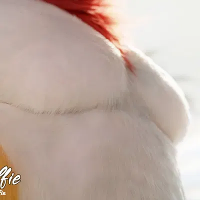 created by red wulfie