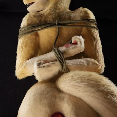 created by red wulfie