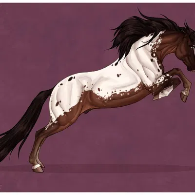 created by scarlanya