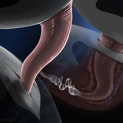 created by shinigamisquirrel