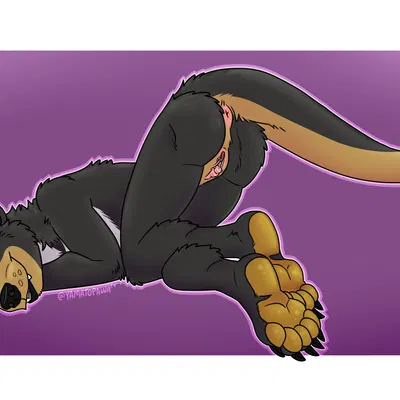 created by yamatopawa