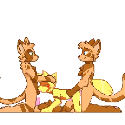 created by zionnicoz