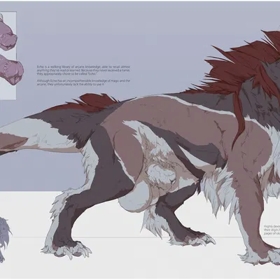 echo (zwerewolf) created by oouna