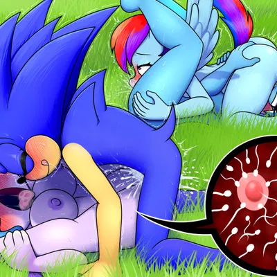 fan character, rainbow dash (mlp), sash lilac (freedom planet, friendship is magic) created by dexstar