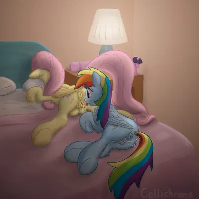 fluttershy (mlp), rainbow dash (mlp) (friendship is magic, hasbro) created by callichrome
