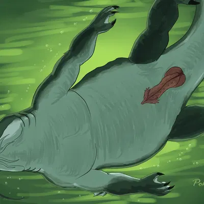 graxorin created by pokegontc