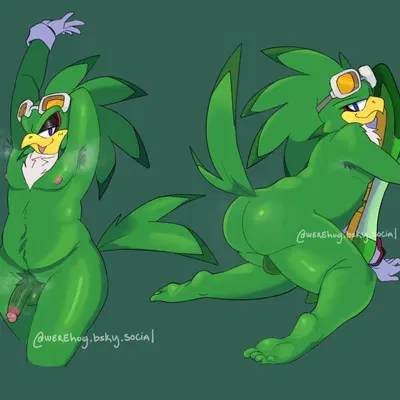 jet the hawk (sega, sonic riders) created by barkxfang