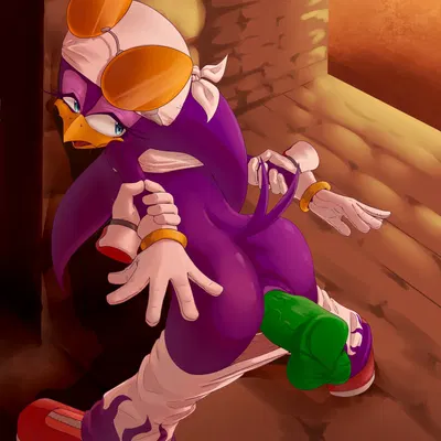 jet the hawk, wave the swallow (sega, sonic riders) created by nes panda