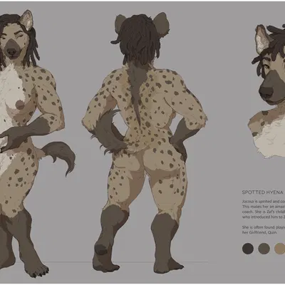 jocosa (zwerewolf) created by oouna