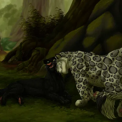 jumwo, kazik feral created by karibu99