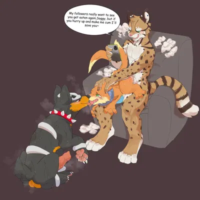 junk (junkhoundour), kayden quinn, soggy (soggybuizel) (nintendo, pokemon) created by kockroach