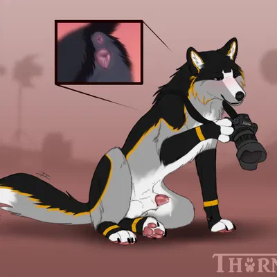 just kenta created by thorn193