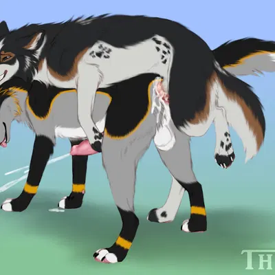 just kenta created by thorn193