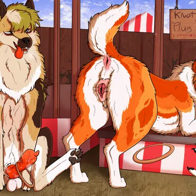 kanon (applejacksville), skib created by parooty