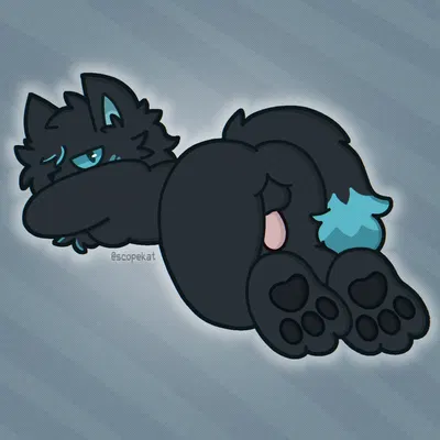 kat (scopekat) created by scopekat