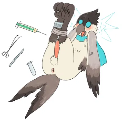 kipper (tukoferret) created by dinkden