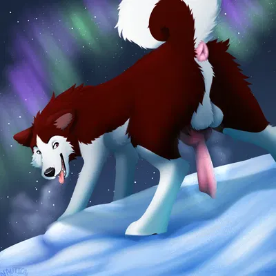 kodiak (balto) (balto (series), universal studios) created by nauticalcanine