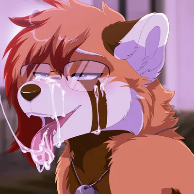 kouki (athelwah) created by lawkie