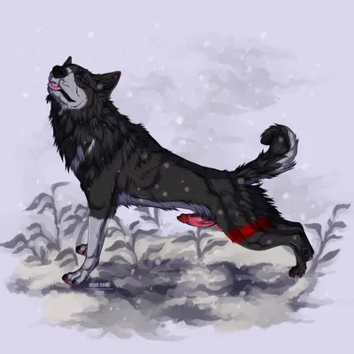 krowlfer created by msdeadsoul