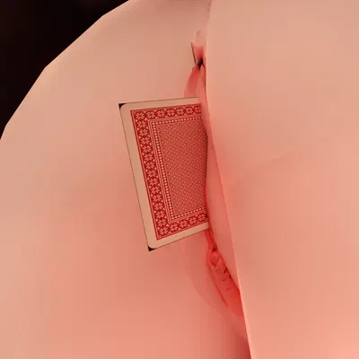 leaflamb (character) (liar's bar) created by leaflamb