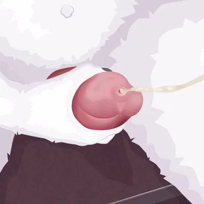 loona (helluva boss) (hellaverse, helluva boss) created by mynka