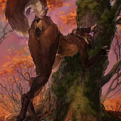 meinir (runapup) created by fossa666