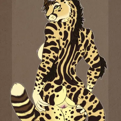 microsoft, the elder scrolls created by tanutanuki