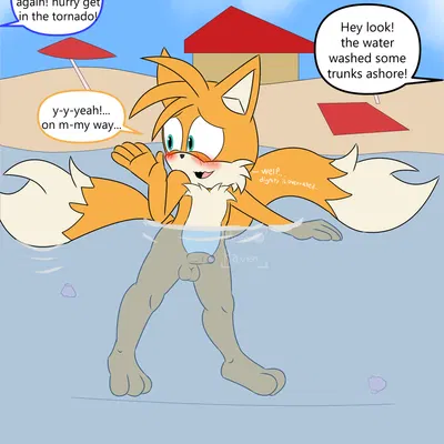 miles prower (sega, sonic the hedgehog (series)) created by mrgenoraven