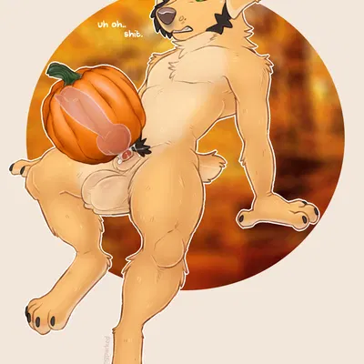 nao o'connor created by kingparked