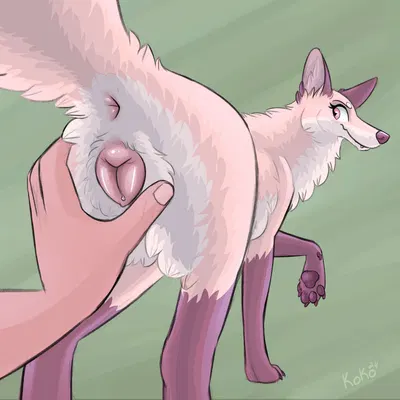 nettle (kettukarkki) created by queenkoko