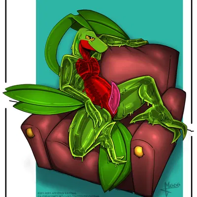 nintendo, pokemon created by masterzoroark666