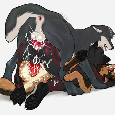 north shepherd, omega wolf (soulwolven), slimm created by jetraraven